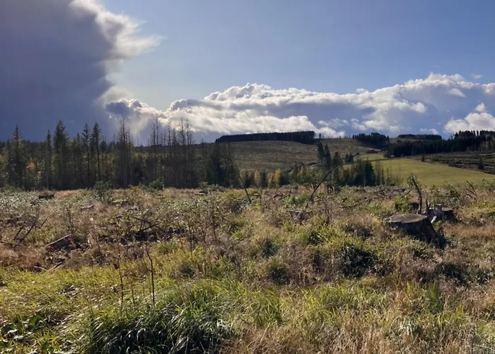 Castrum Visum Apartamento